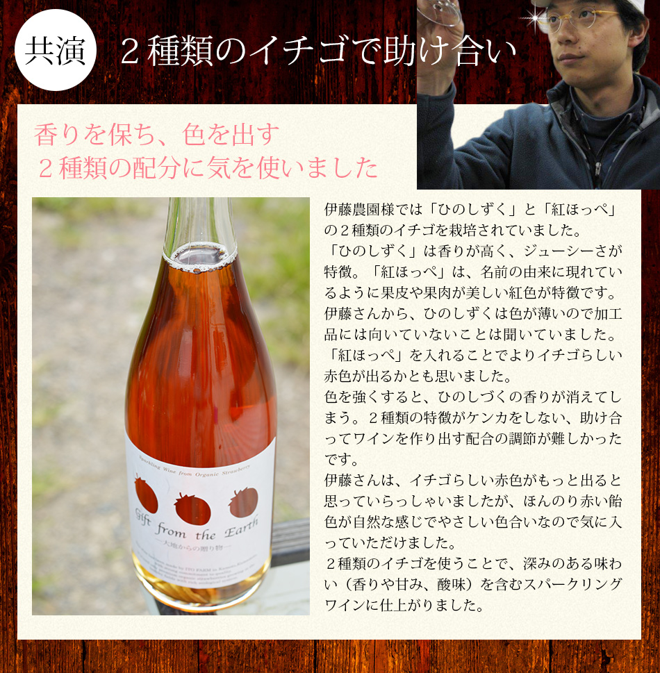 熊本伊藤農園、無農薬イチゴスパークリングワイン、巨峰ワイン製造