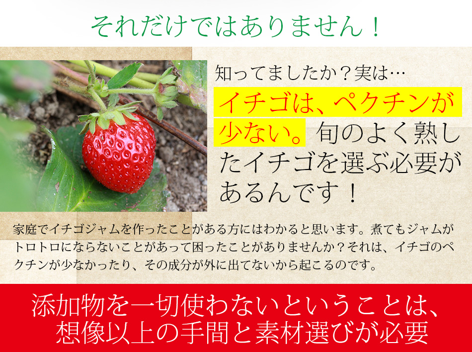 熊本伊藤農園、農薬不使用イチゴジャム
